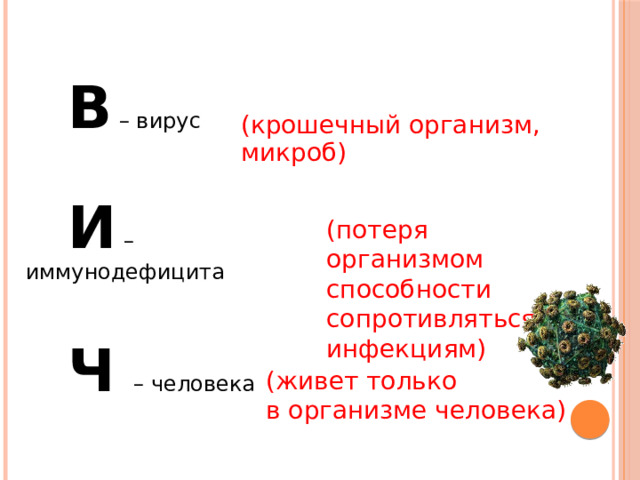  В – вирус   И – иммунодефицита   Ч  – человека (крошечный организм, микроб) (потеря организмом способности сопротивляться инфекциям) (живет только в организме человека) 