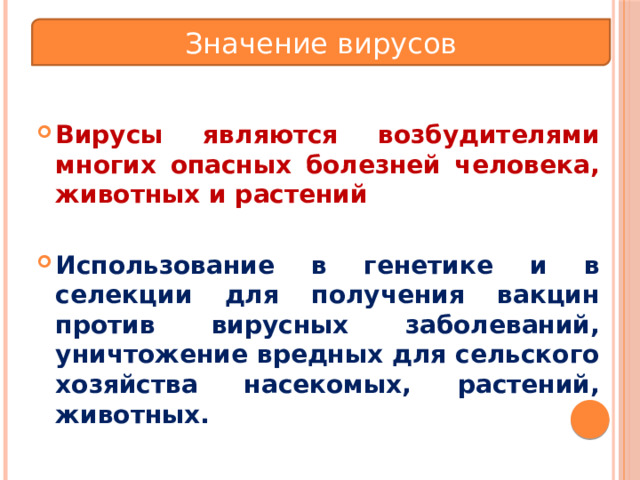 Значение вирусов  Вирусы являются возбудителями многих опасных болезней человека, животных и растений  Использование в генетике и в селекции для получения вакцин против вирусных заболеваний, уничтожение вредных для сельского хозяйства насекомых, растений, животных. 