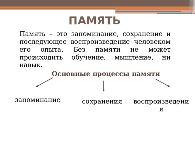 ПАМЯТЬ Память – это запоминание, сохранение и последующее воспроизведение человеком его опыта. Без памяти не может происходить обучение, мышление, ни навык. Основные процессы памяти запоминание сохранения воспроизведения 