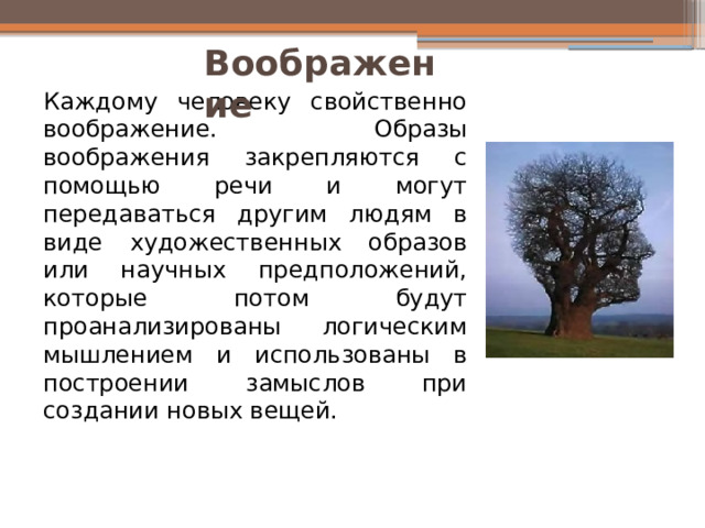 Воображение Каждому человеку свойственно воображение. Образы воображения закрепляются с помощью речи и могут передаваться другим людям в виде художественных образов или научных предположений, которые потом будут проанализированы логическим мышлением и использованы в построении замыслов при создании новых вещей. 