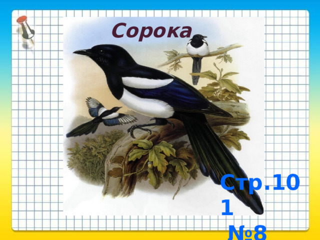 Сорока Стр.101  №8 