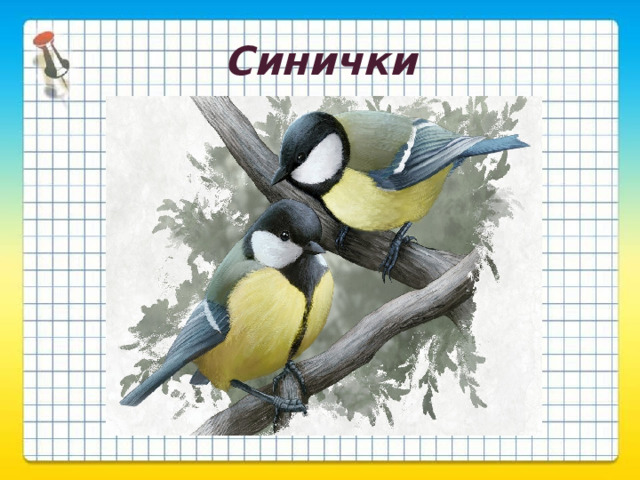 Синички 