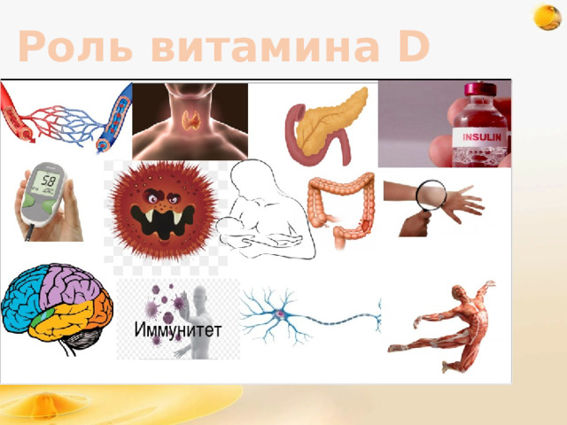 Роль витамина D 