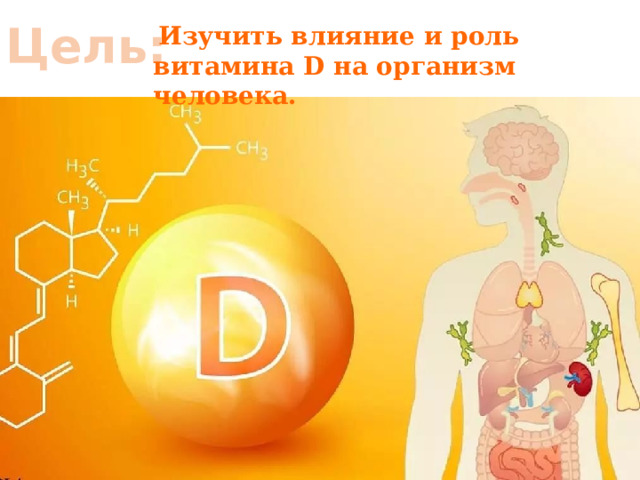 Цель:  Изучить влияние и роль витамина D на организм человека. 