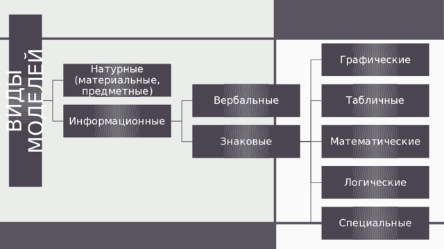 ВИДЫ МОДЕЛЕЙ Графические Натурные (материальные, предметные) Табличные Вербальные Информационные Математические Знаковые Логические Специальные 