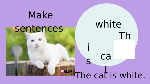 Make sentences white The is cat The cat is white. 