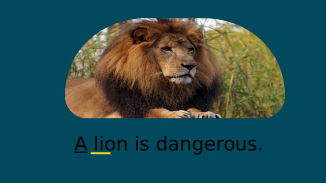 A lion is dangerous. 