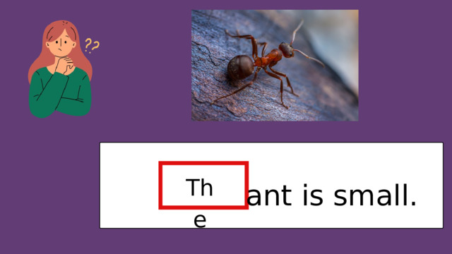 The ant is small. 