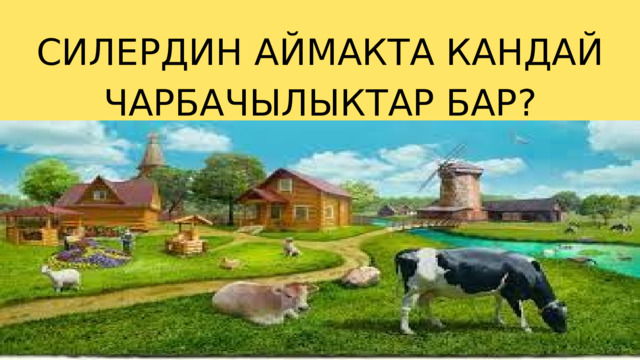 СИЛЕРДИН АЙМАКТА КАНДАЙ ЧАРБАЧЫЛЫКТАР БАР? 