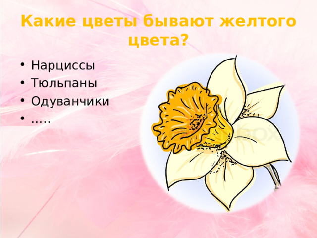 Какие цветы бывают желтого цвета? Нарциссы Тюльпаны Одуванчики … .. 