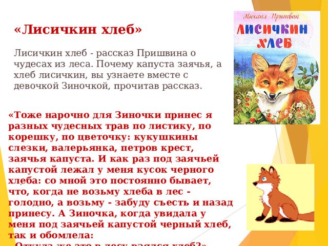 «Лисичкин хлеб» Лисичкин хлеб - рассказ Пришвина о чудесах из леса. Почему капуста заячья, а хлеб лисичкин, вы узнаете вместе с девочкой Зиночкой, прочитав рассказ. «Тоже нарочно для Зиночки принес я разных чудесных трав по листику, по корешку, по цветочку: кукушкины слезки, валерьянка, петров крест, заячья капуста. И как раз под заячьей капустой лежал у меня кусок черного хлеба: со мной это постоянно бывает, что, когда не возьму хлеба в лес - голодно, а возьму - забуду съесть и назад принесу. А Зиночка, когда увидала у меня под заячьей капустой черный хлеб, так и обомлела: - Откуда же это в лесу взялся хлеб?» . 