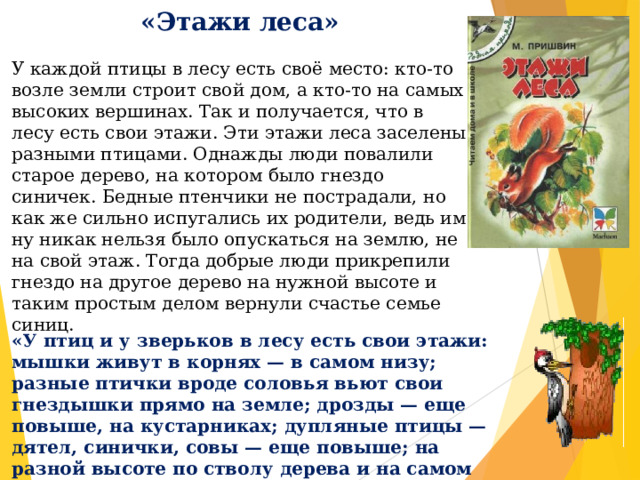 «Этажи леса» У каждой птицы в лесу есть своё место: кто-то возле земли строит свой дом, а кто-то на самых высоких вершинах. Так и получается, что в лесу есть свои этажи. Эти этажи леса заселены разными птицами. Однажды люди повалили старое дерево, на котором было гнездо синичек. Бедные птенчики не пострадали, но как же сильно испугались их родители, ведь им ну никак нельзя было опускаться на землю, не на свой этаж. Тогда добрые люди прикрепили гнездо на другое дерево на нужной высоте и таким простым делом вернули счастье семье синиц. «У птиц и у зверьков в лесу есть свои этажи: мышки живут в корнях — в самом низу; разные птички вроде соловья вьют свои гнездышки прямо на земле; дрозды — еще повыше, на кустарниках; дупляные птицы — дятел, синички, совы — еще повыше; на разной высоте по стволу дерева и на самом верху селятся хищники: ястреба и орлы».  