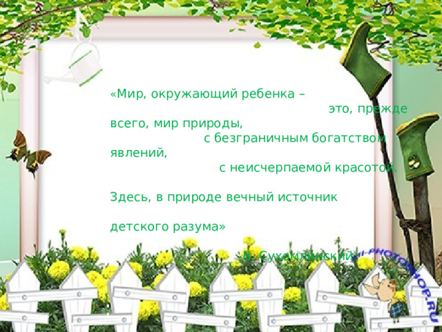 « Мир, окружающий ребенка – это, прежде всего, мир природы, с безграничным богатством явлений, с неисчерпаемой красотой. Здесь, в природе вечный источник детского разума»  В. Сухомлинский 