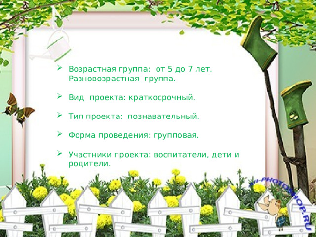 Возрастная группа: от 5 до 7 лет. Разновозрастная группа. Вид проекта: краткосрочный. Тип проекта: познавательный. Форма проведения: групповая. Участники проекта: воспитатели, дети и родители. 