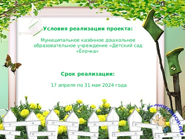 Условия реализации проекта:  Муниципальное казённое дошкольное образовательное учреждение «Детский сад «Ёлочка» Срок реализации: 17 апреля по 31 мая 2024 года 