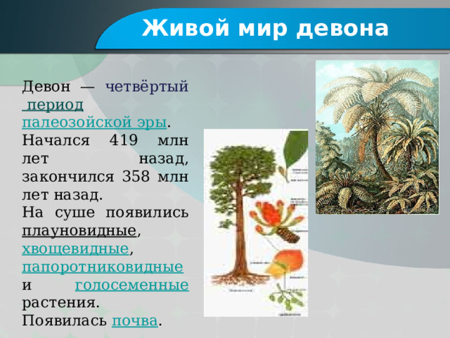 Живой мир девона Девон — четвёртый период  палеозойской эры . Начался 419 млн лет назад, закончился 358 млн лет назад. На суше появились плауновидные , хвощевидные , папоротниковидные и голосеменные растения. Появилась почва . Дре 