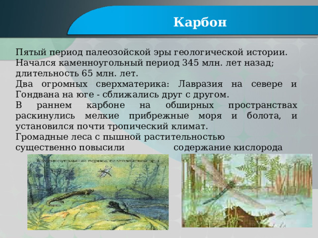 Карбон Пятый период палеозойской эры геологической истории. Начался каменноугольный период 345 млн. лет назад; длительность 65 млн. лет.  Два огромных сверхматерика: Лавразия на севере и Гондвана на юге - сближались друг с другом. В раннем карбоне на обширных пространствах раскинулись мелкие прибрежные моря и болота, и установился почти тропический климат. Громадные леса с пышной растительностью существенно повысили содержание кислорода в атмосфере. 