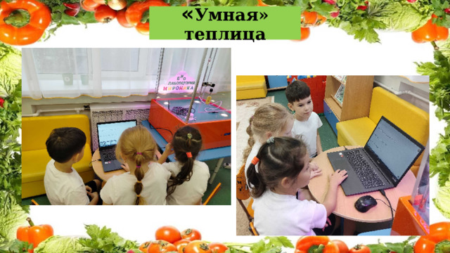 « Умная» теплица 