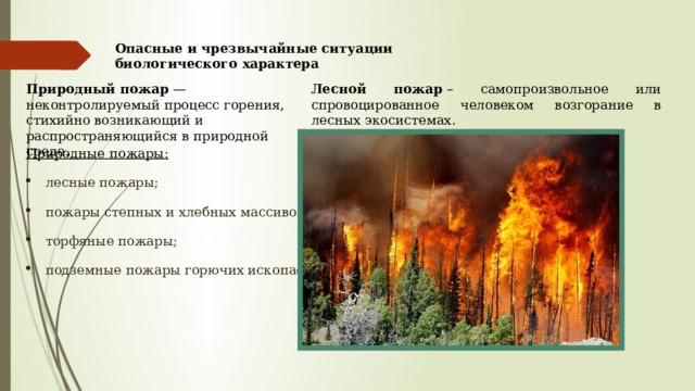 Опасные и чрезвычайные ситуации биологического характера   Природный пожар  — неконтролируемый процесс горения, стихийно возникающий и распространяющийся в природной среде. Лесной пожар  – самопроизвольное или спровоцированное человеком возгорание в лесных экосистемах. Природные пожары: лесные пожары; пожары степных и хлебных массивов; торфяные пожары; подземные пожары горючих ископаемых. 
