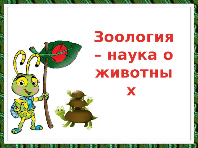 Зоология – наука о животных Зоология – наука о животных. 