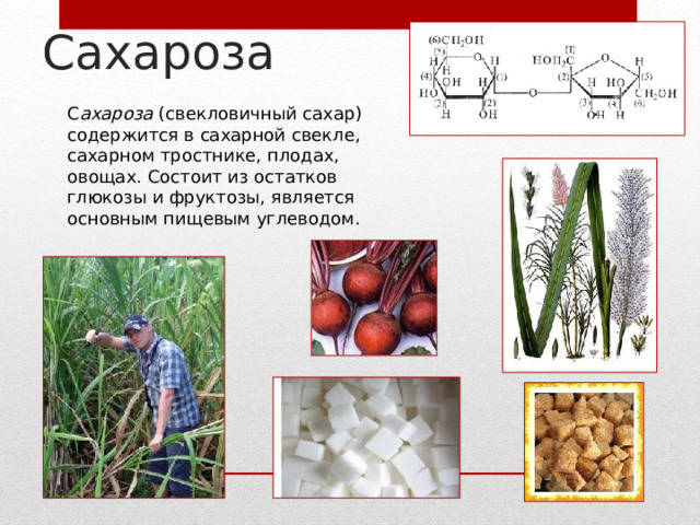 Сахароза С ахароза (свекловичный сахар) содержится в сахарной свекле, сахарном тростнике, плодах, овощах. Состоит из остатков глюкозы и фруктозы, является основным пищевым углеводом. 5 