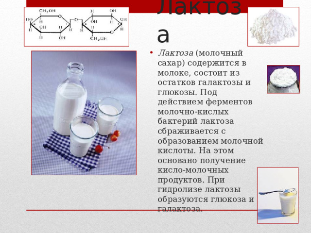 Лактоза Лактоза (молочный сахар) содержится в молоке, состоит из остатков галактозы и глюкозы. Под действием ферментов молочно-кислых бактерий лактоза сбраживается с образованием молочной кислоты. На этом основано получение кисло-молочных продуктов. При гидролизе лактозы образуются глюкоза и галактоза.  5 