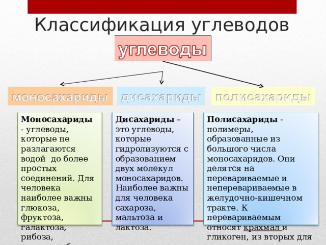 Классификация углеводов Моносахариды - углеводы, которые не разлагаются водой до более простых соединений. Для человека наиболее важны глюкоза, фруктоза, галактоза, рибоза, дезоксирибоза. Дисахариды – это углеводы, которые гидролизуются с образованием двух молекул моносахаридов. Наиболее важны для человека сахароза, мальтоза и лактоза.   Полисахариды - полимеры, образованные из большого числа моносахаридов. Они делятся на перевариваемые и неперевариваемые в желудочно-кишечном тракте. К перевариваемым относят крахмал и гликоген, из вторых для человека важны клетчатка. 5 
