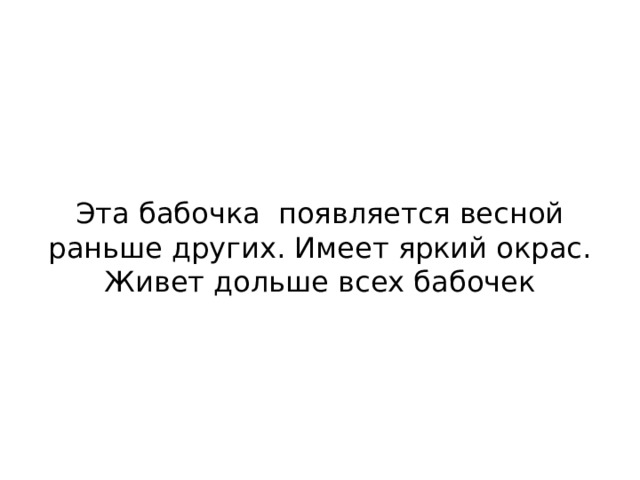 Эта бабочка появляется весной раньше других. Имеет яркий окрас. Живет дольше всех бабочек 