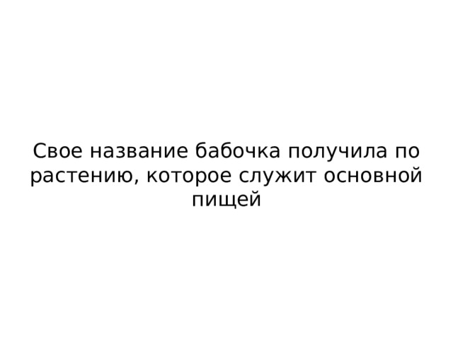 Свое название бабочка получила по растению, которое служит основной пищей 