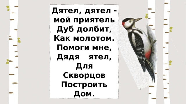 Дятел, дятел - мой приятель Дуб долбит, Как молотом. Помоги мне, Дядя д ятел, Для Скворцов Построить Дом. 