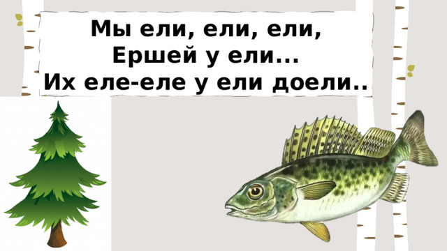 Мы ели, ели, ели, Ершей у ели... Их еле-еле у ели доели.. 