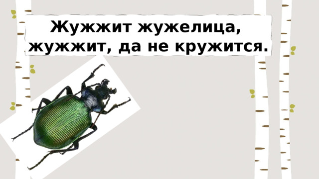 Жужжит жужелица, жужжит, да не кружится. 