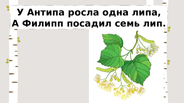 У Антипа росла одна липа, А Филипп посадил семь лип. 