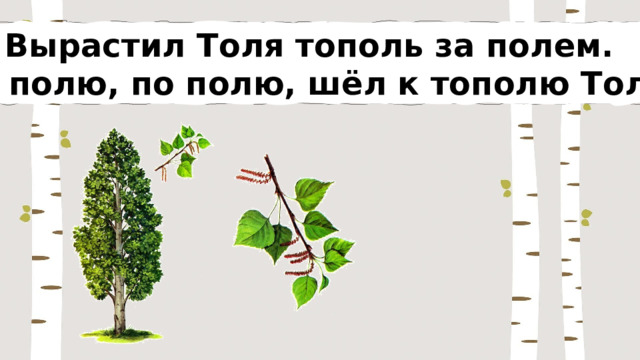 Вырастил Толя тополь за полем. По полю, по полю, шёл к тополю Толя. 