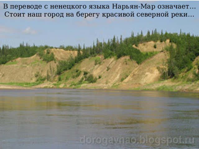 В переводе с ненецкого языка Нарьян-Мар означает…Стоит наш город на берегу красивой северной реки… 
