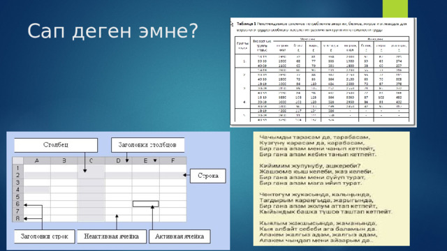 Сап деген эмне? 