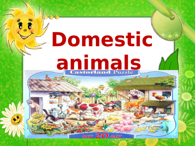 Domestic animals  