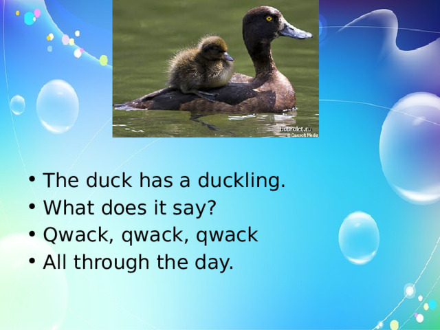 The duck has a duckling. What does it say? Qwack, qwack, qwack All through the day. 