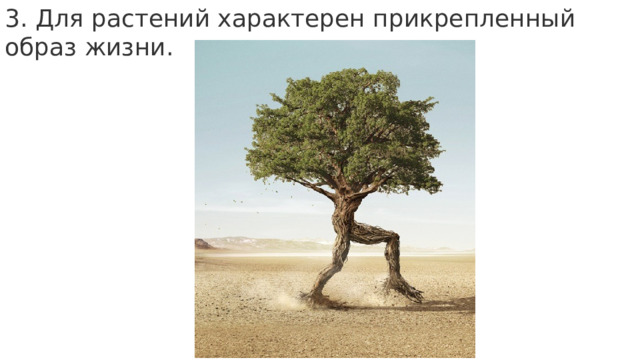 3. Для растений характерен прикрепленный образ жизни. 
