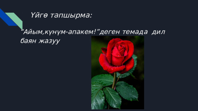 Үйгө тапшырма: “ Айым,күнүм-апакем!”деген темада дил баян жазуу 