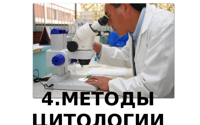 4.МЕТОДЫ ЦИТОЛОГИИ 