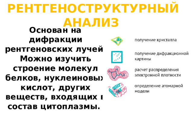 РЕНТГЕНОСТРУКТУРНЫЙ АНАЛИЗ Основан на дифракции рентгеновских лучей. Можно изучить строение молекул белков, нуклеиновых кислот, других веществ, входящих в состав цитоплазмы.   