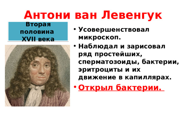 Антони ван Левенгук Вторая половина  XVII века Усовершенствовал микроскоп. Наблюдал и зарисовал ряд простейших, сперматозоиды, бактерии, эритроциты и их движение в капиллярах. Открыл бактерии. 