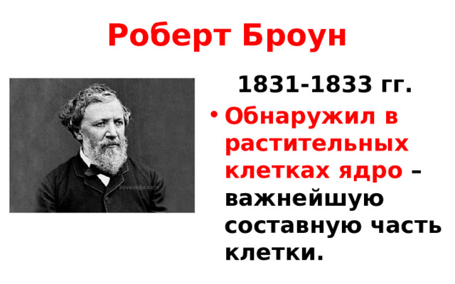 Роберт Броун 1831-1833 гг. Обнаружил в растительных клетках ядро – важнейшую составную часть клетки. 