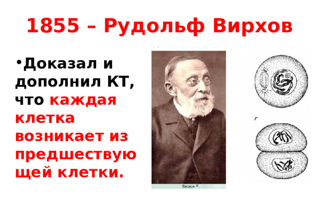 1855 – Рудольф Вирхов Доказал и дополнил КТ, что каждая клетка возникает из предшествующей клетки. 