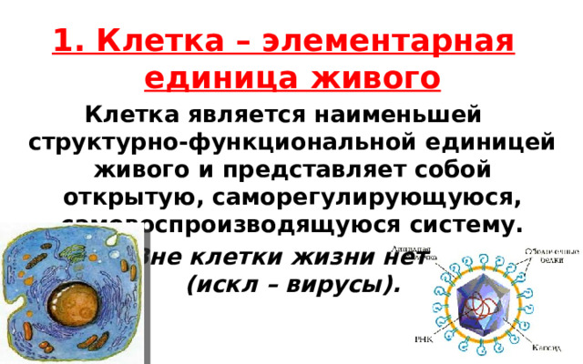 1. Клетка – элементарная единица живого Клетка является наименьшей структурно-функциональной единицей живого и представляет собой открытую, саморегулирующуюся, самовоспроизводящуюся систему. Вне клетки жизни нет  (искл – вирусы). 
