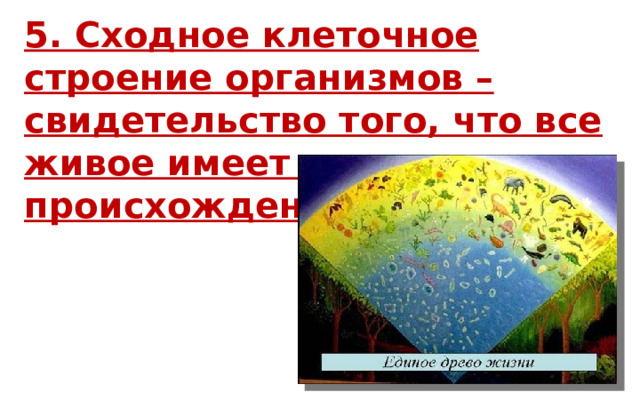 5. Сходное клеточное строение организмов – свидетельство того, что все живое имеет единое происхождение. 
