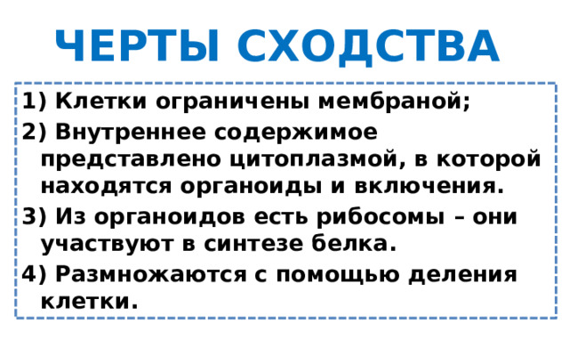 ЧЕРТЫ СХОДСТВА 1) Клетки ограничены мембраной; 2) Внутреннее содержимое представлено цитоплазмой, в которой находятся органоиды и включения. 3) Из органоидов есть рибосомы – они участвуют в синтезе белка. 4) Размножаются с помощью деления клетки.  