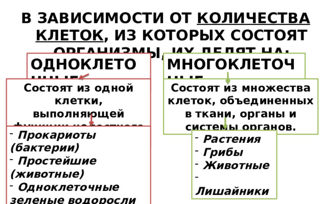 В ЗАВИСИМОСТИ ОТ КОЛИЧЕСТВА КЛЕТОК , ИЗ КОТОРЫХ СОСТОЯТ ОРГАНИЗМЫ, ИХ ДЕЛЯТ НА: ОДНОКЛЕТОЧНЫЕ МНОГОКЛЕТОЧНЫЕ Состоят из одной клетки, выполняющей функции целостного организма. Состоят из множества клеток, объединенных в ткани, органы и системы органов.  Прокариоты (бактерии)  Простейшие (животные)  Одноклеточные зеленые водоросли - Дрожжи (грибы)  Растения  Грибы  Животные  Лишайники 