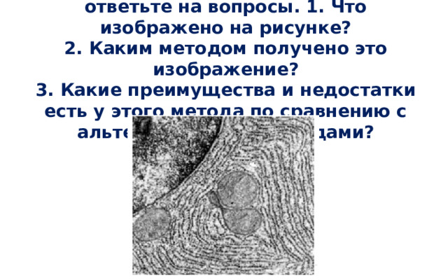 Рассмотрите внимательно рисунок и ответьте на вопросы. 1. Что изображено на рисунке?  2. Каким методом получено это изображение?  3. Какие преимущества и недостатки есть у этого метода по сравнению с альтернативными методами?   